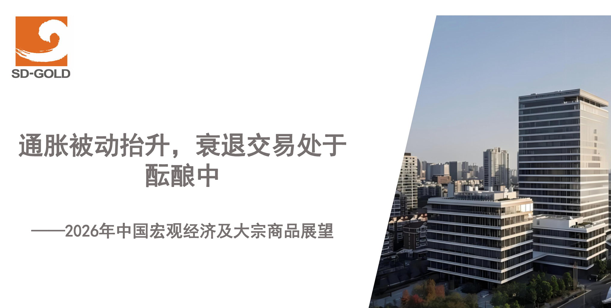 2026年中国宏观经济及大宗商品展望.pdf